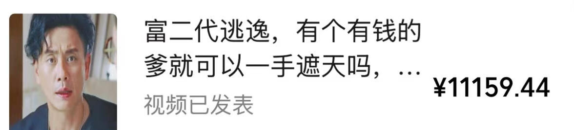 视频号某大佬的影视搬运教学,纯手法操作,可以多个平台可以发布,撸分成计划 伙伴计划 光合计划收益等